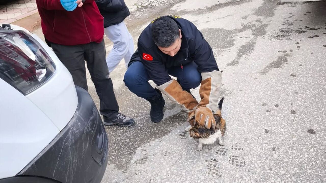 Motor Kaputundan Gelen Ses Hayat Kurtardı (2)