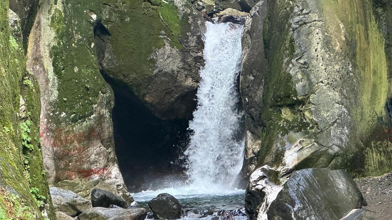 Yalovalıların Doğa Rotası Yeniden Canlandı (1)