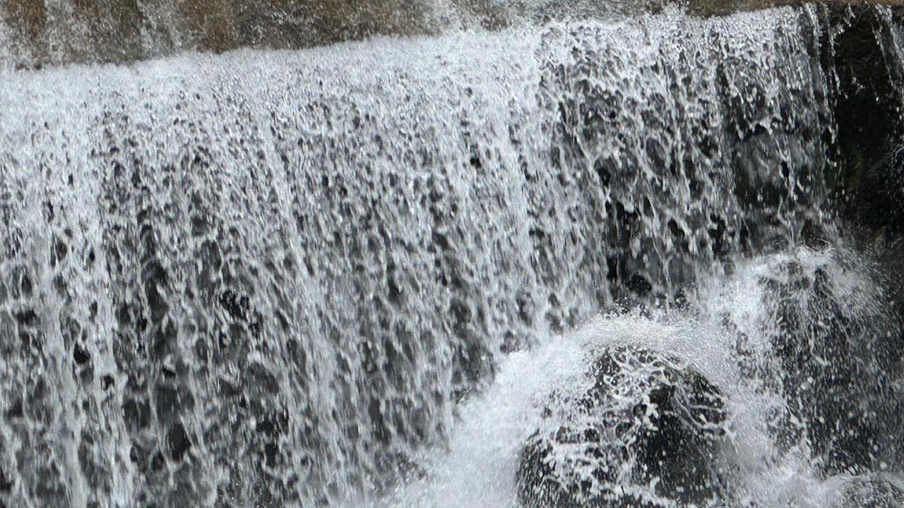 Yalovalıların Doğa Rotası Yeniden Canlandı (3)