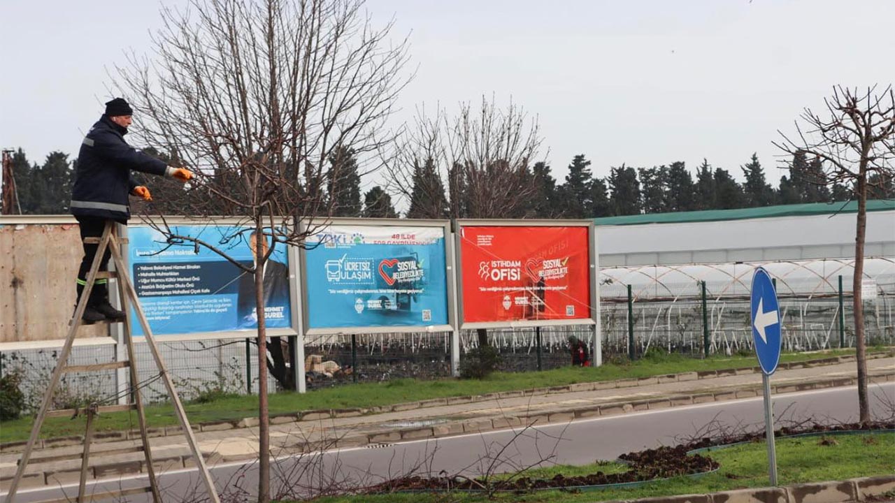 Yalova Belediyesi Park Bahceler Agac Budama Is Guvenligi Tepki (3)