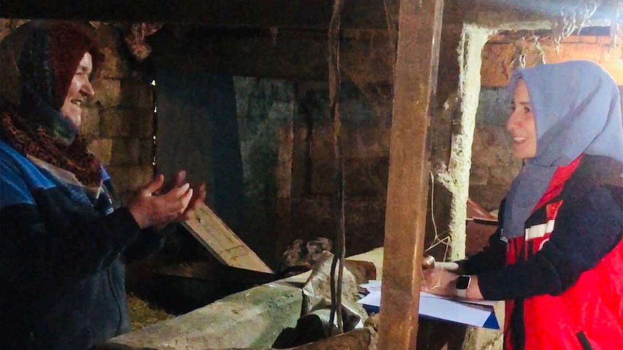 Yalova Il Tarim Orman Mudurluk Gebe Buzagi Inek Sagligi Proje (2)