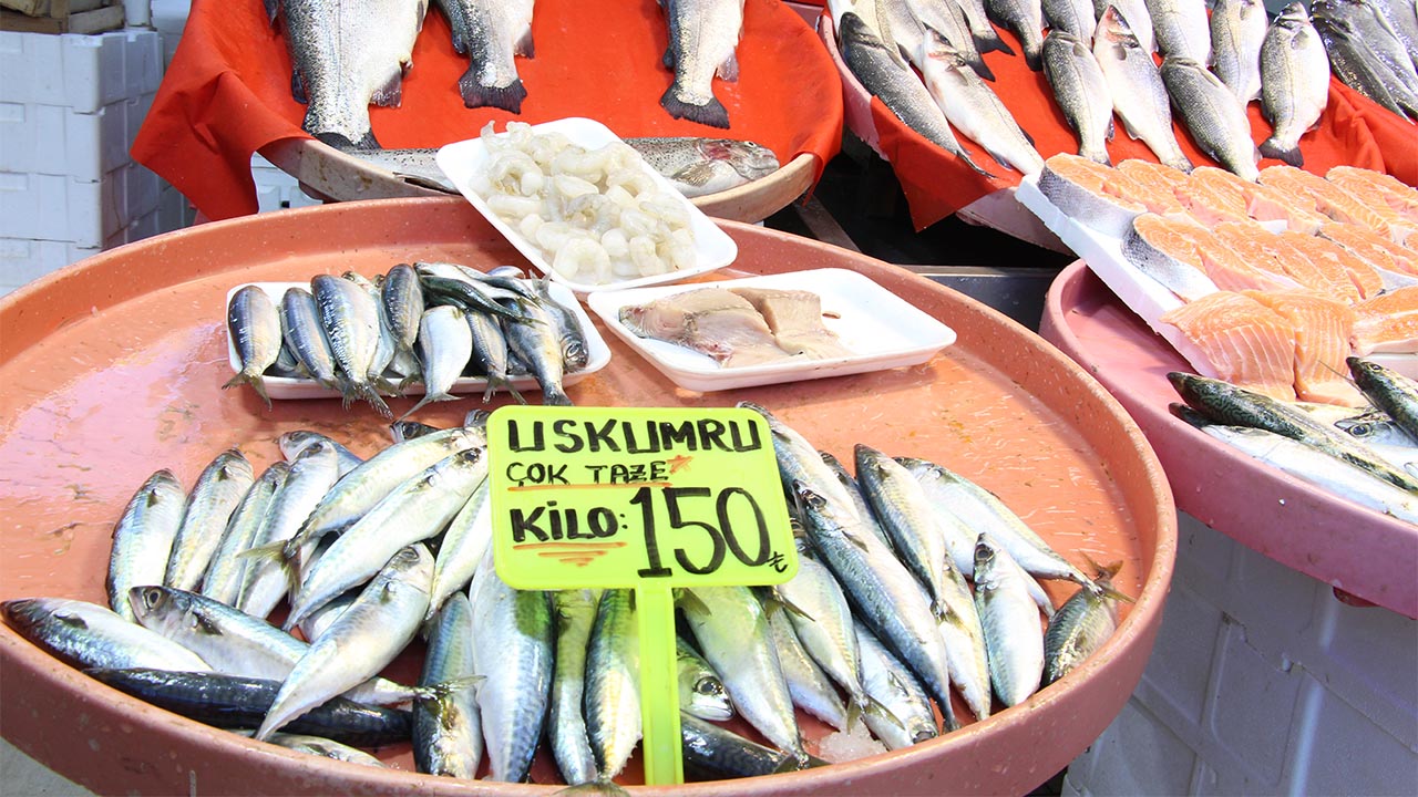 Yalova Merkez Balik Pazari Subat Ay Ramazan Fiyat Dusus Hamsi Istavrit (1)