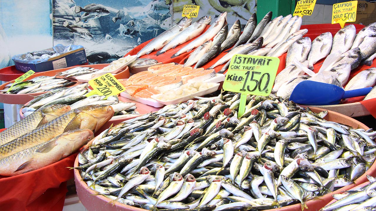 Yalova Merkez Balik Pazari Subat Ay Ramazan Fiyat Dusus Hamsi Istavrit (2)