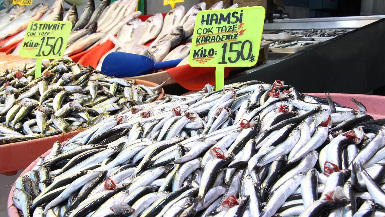 Yalova Merkez Balik Pazari Subat Ay Ramazan Fiyat Dusus Hamsi Istavrit (3)