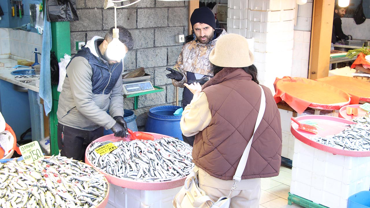 Yalova Merkez Balik Pazari Subat Ay Ramazan Fiyat Dusus Hamsi Istavrit (5)