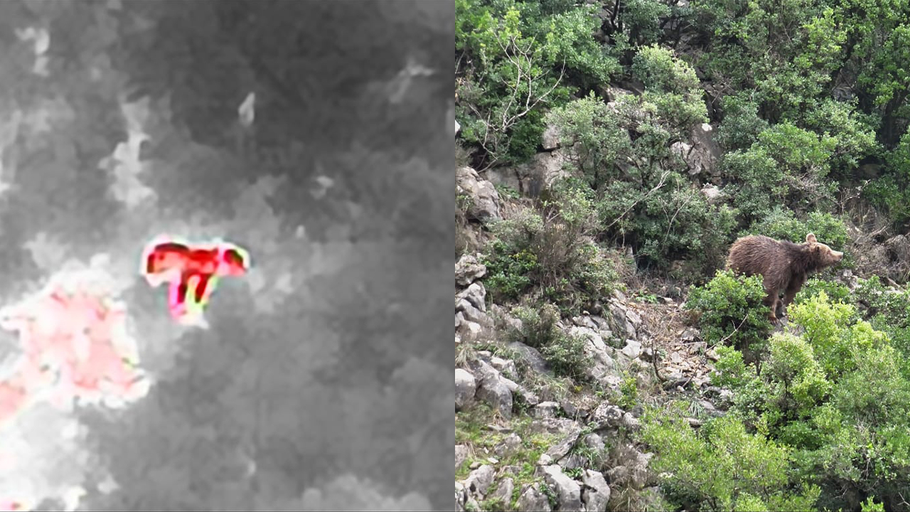 Yalova Pasakent Maden Saha 112 Acil Cagri Dag Keci Ihbar Boz Ayi (3)