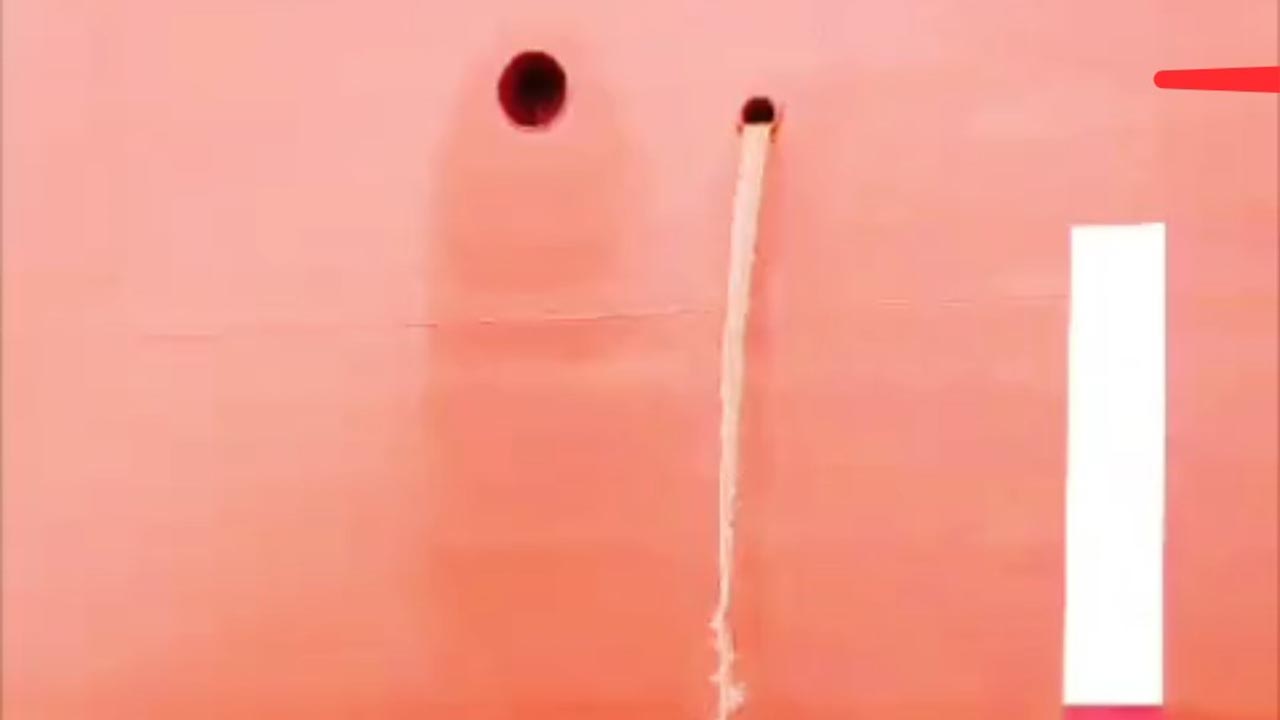 Yalova’da Denizi Kirletti, Cezadan Kaçamadı (3)