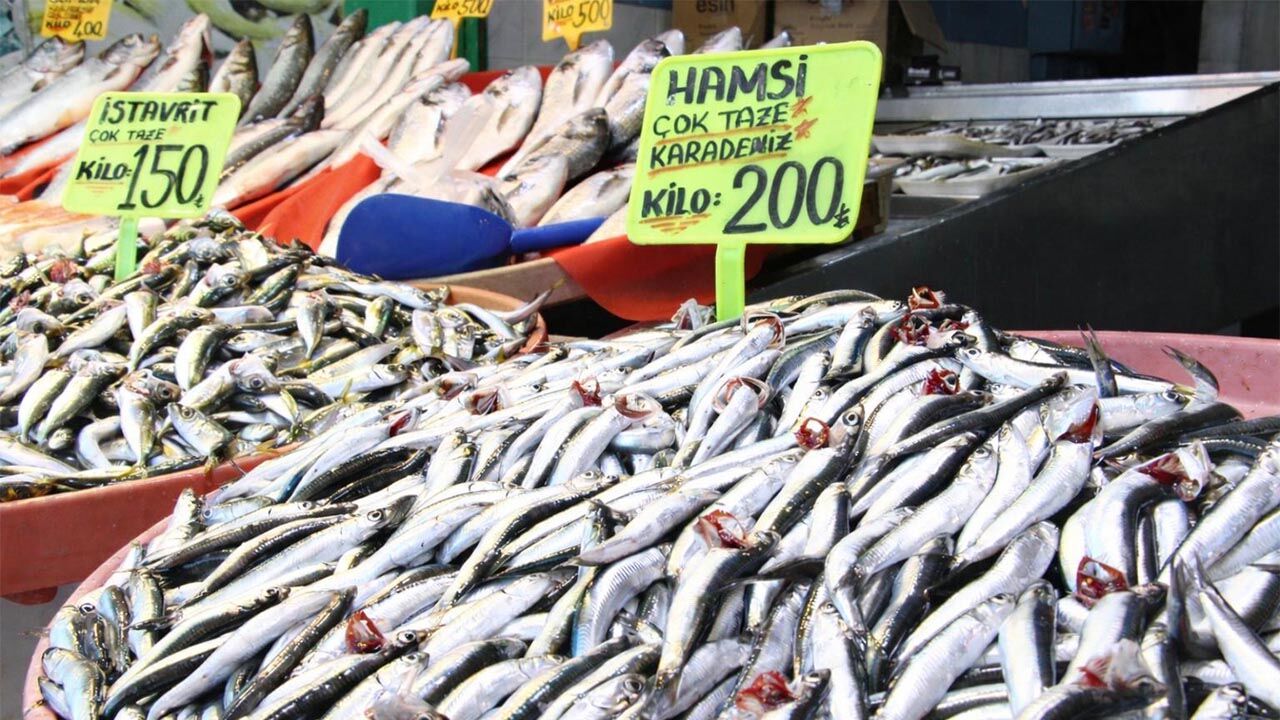 Yalova’da Hamsi Fiyatları Tartışma Yarattı (1)