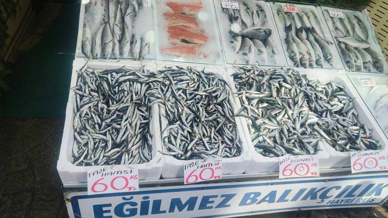Yalova’da Hamsi Fiyatları Tartışma Yarattı (2)