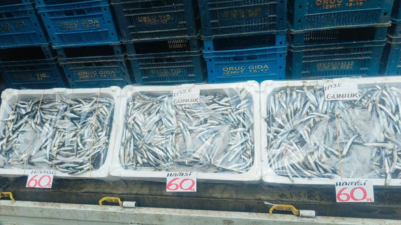 Yalova’da Hamsi Fiyatları Tartışma Yarattı (3)