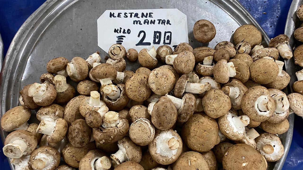 Yalova’da Semt Pazarı Cep Yaktı (10)