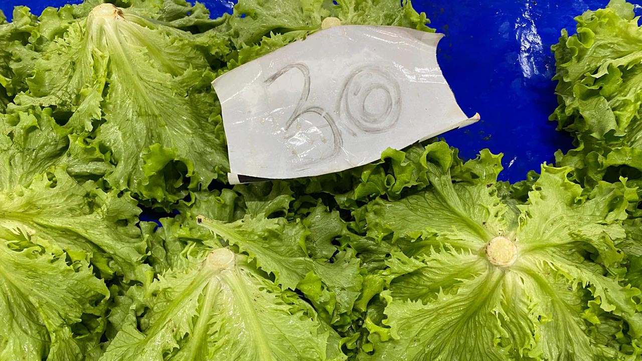 Yalova’da Semt Pazarı Cep Yaktı (2)