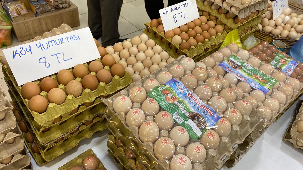 Yalovalı Esnaftan Yem Zamları Ve Denetim Çağrısı Haber (1)