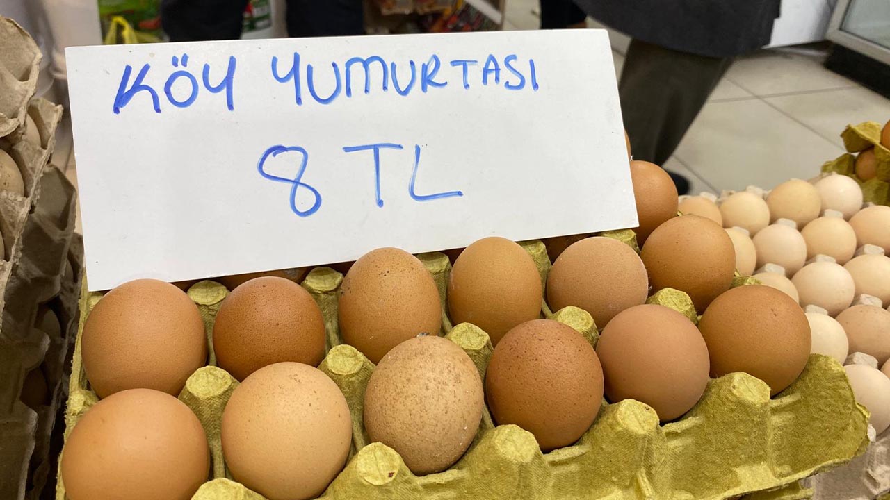 Yalovalı Esnaftan Yem Zamları Ve Denetim Çağrısı Haber (2)