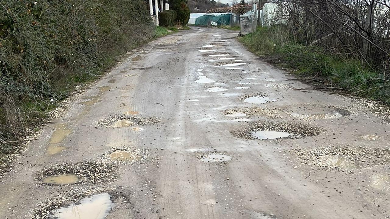 Yalovalı Vatandaşlar Soruyor Haber (1)