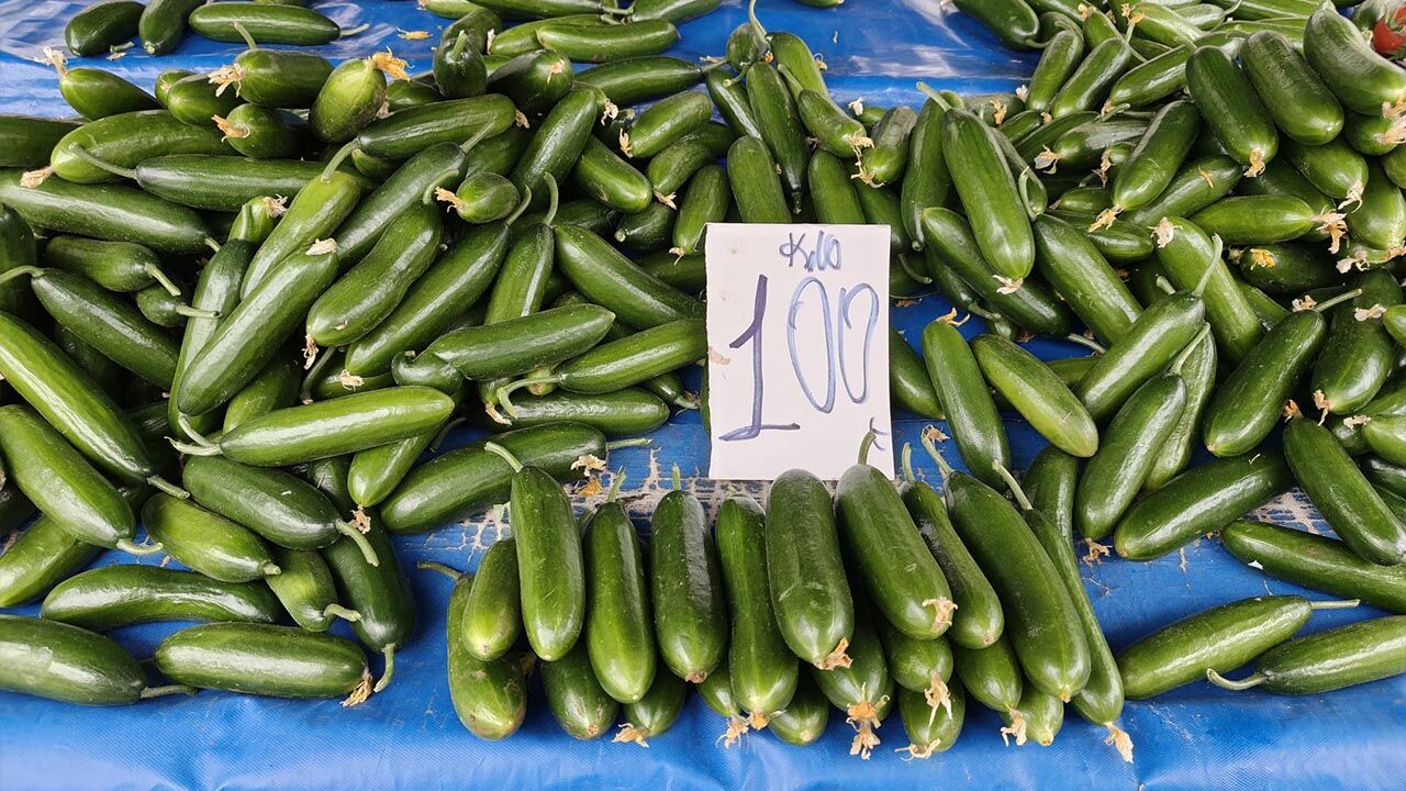 Bu Akşam Tencerede Ne Kaynayacak (3)