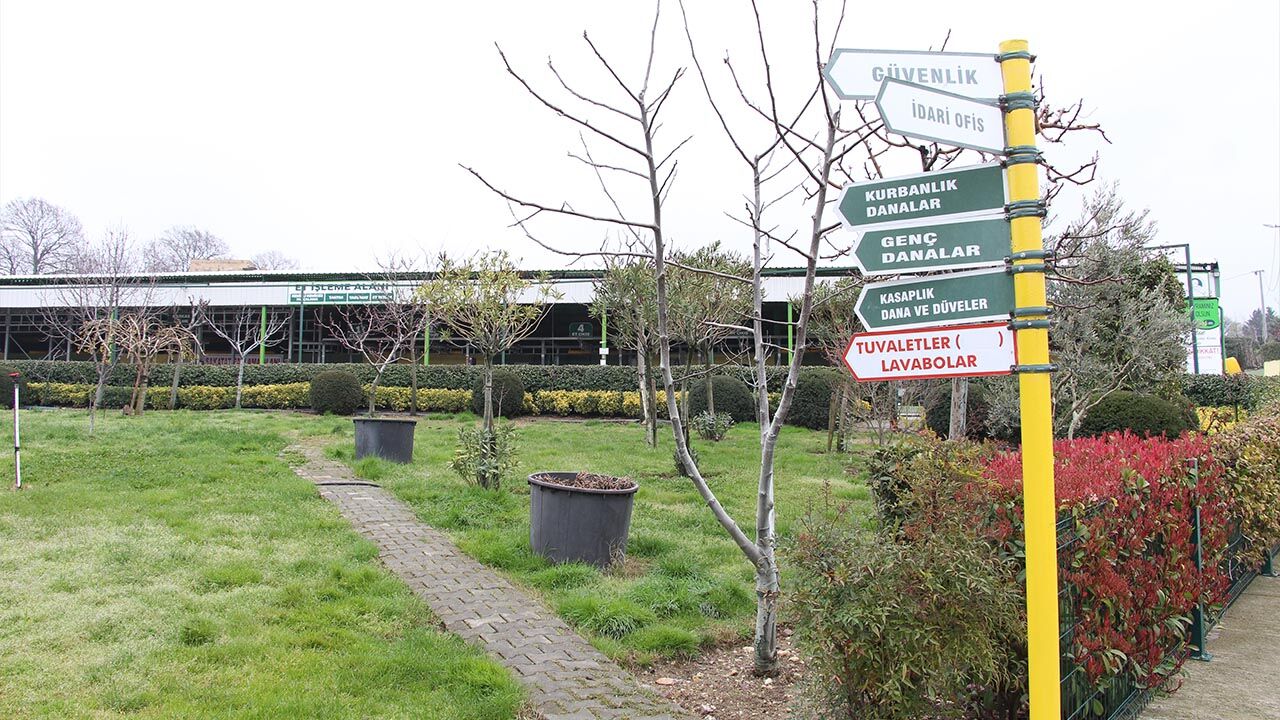 Yalova Gulec Kardesler Kurban Bayram Hazirlik Satislar Basliyor (1)