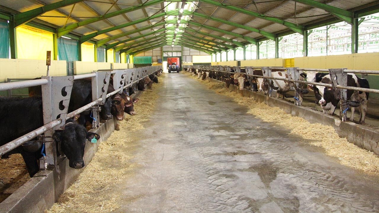 Yalova Gulec Kardesler Kurban Bayram Hazirlik Satislar Basliyor (10)