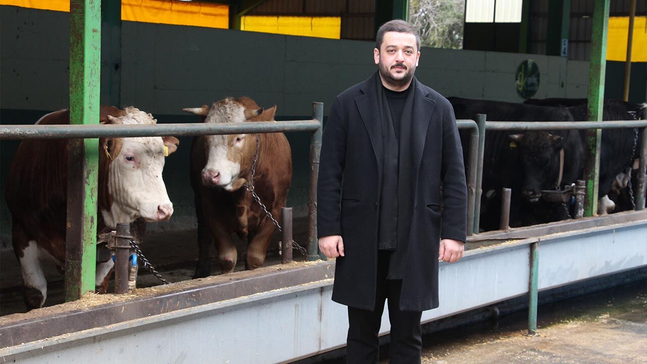 Yalova Gulec Kardesler Kurban Bayram Hazirlik Satislar Basliyor (16)