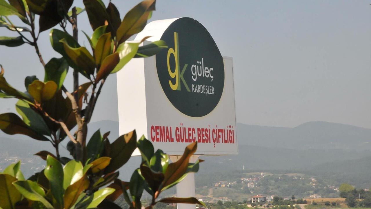 Yalova Gulec Kardesler Kurban Bayram Hazirlik Satislar Basliyor (26)