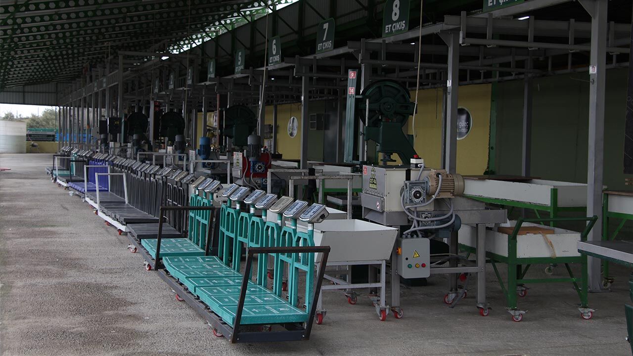 Yalova Gulec Kardesler Kurban Bayram Hazirlik Satislar Basliyor (4)