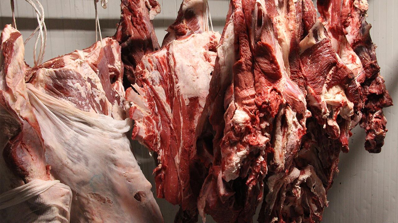 Yalova Kasaplar Sakatatcilar Dernek Baskan Et Guvenlik Gida Denetim Belge (4)