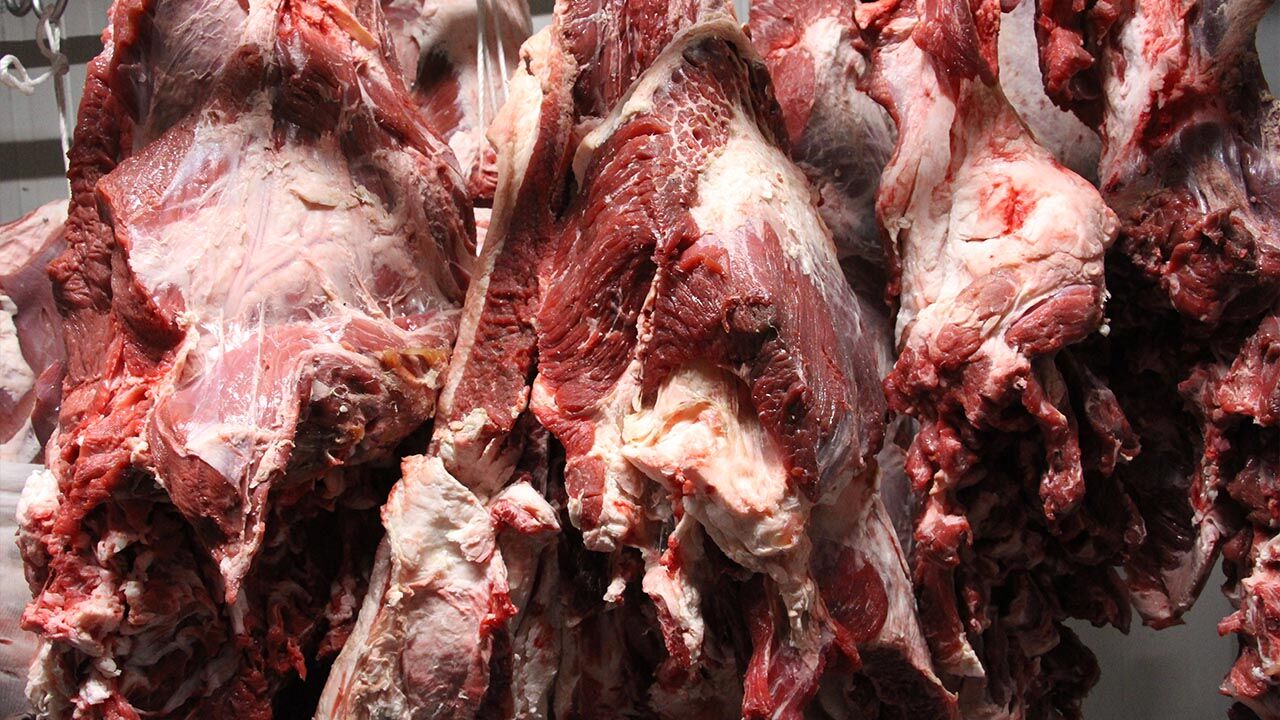 Yalova Kasaplar Sakatatcilar Dernek Baskan Et Guvenlik Gida Denetim Belge (5)