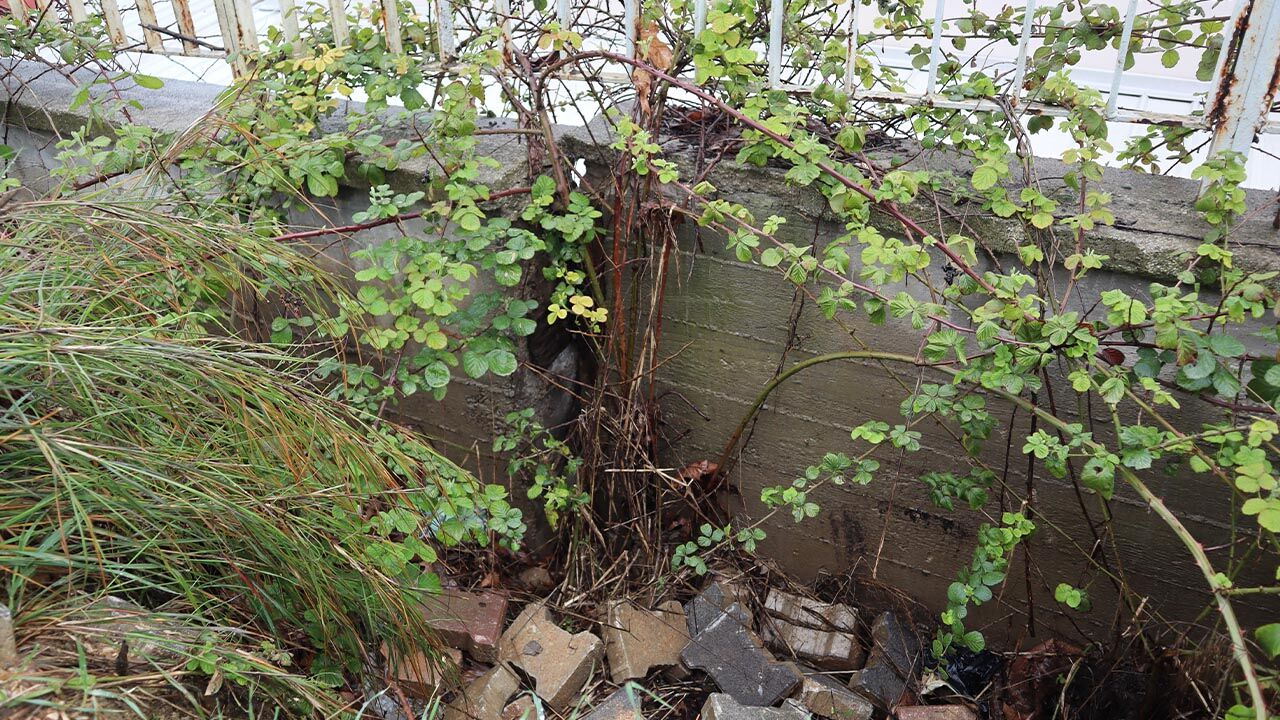 Okulda Tehlike Büyüyor Haber (4)