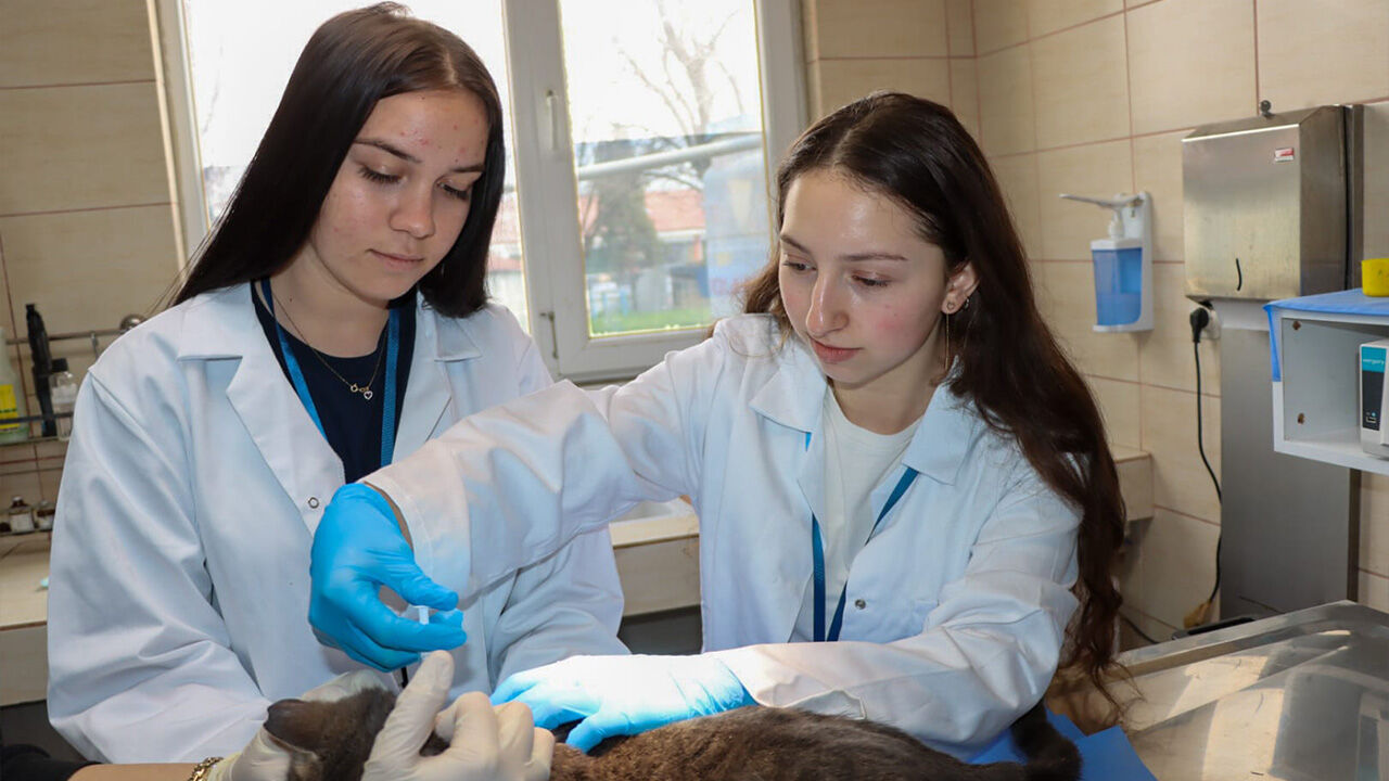 Yalova Belediyesi’nden Erasmus Projesine Destek (3)