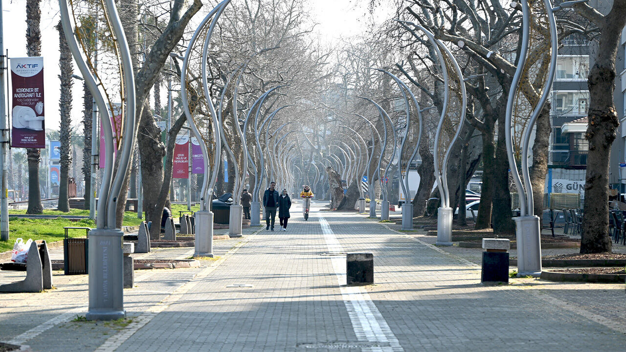 Yalova Belediye Temizlik Isleri Park Bahce Birim Gazipasa Cadde Agac Budama (1)