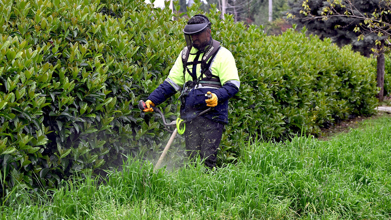 Yalova Beledi̇yesi̇ Eki̇pleri̇ Sahada Çalişmalarini Sürdürüyor Haber (1)-1