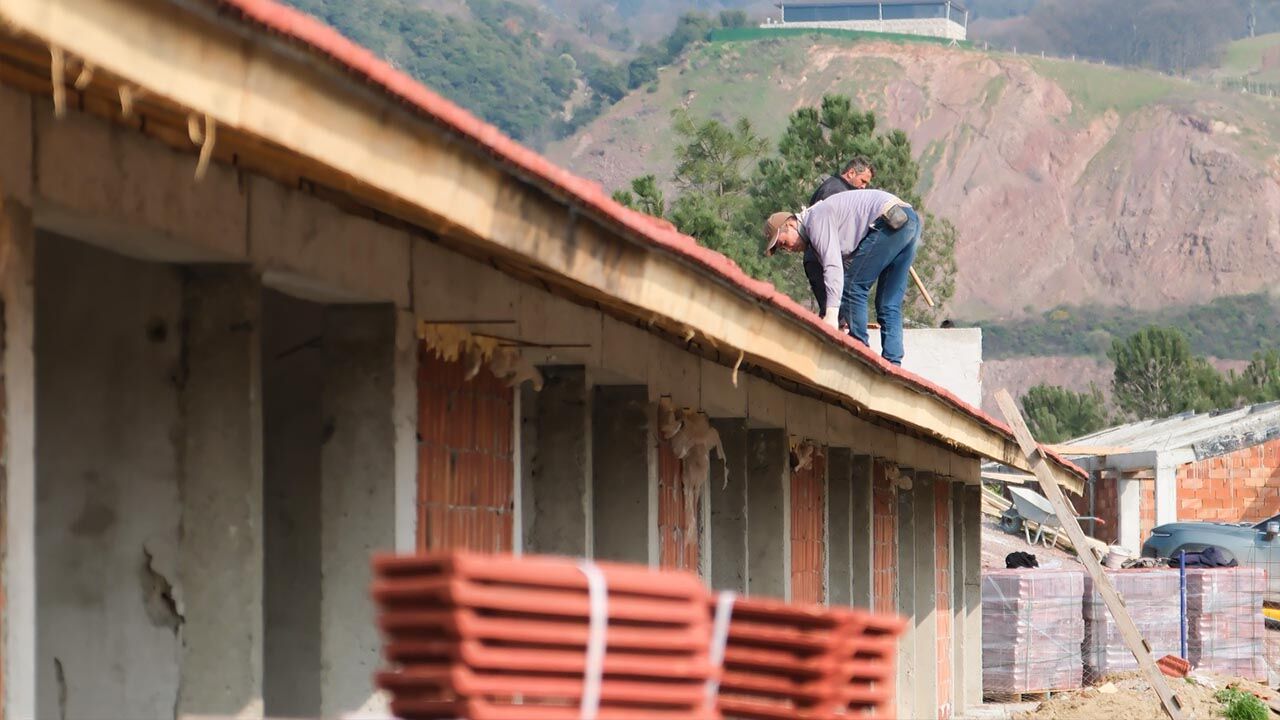 Yalova Ciftlikkoy Kilickoy Dogal Yasam Alani Sokak Kopek Insa Calisma Belediye Baskan Inceleme (3)