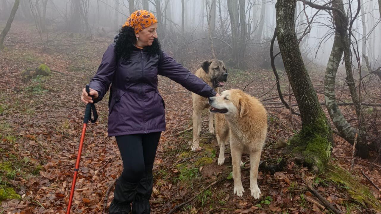 Yalova Doga Yuruyus Ekip Guneykoy Hamzali (5)