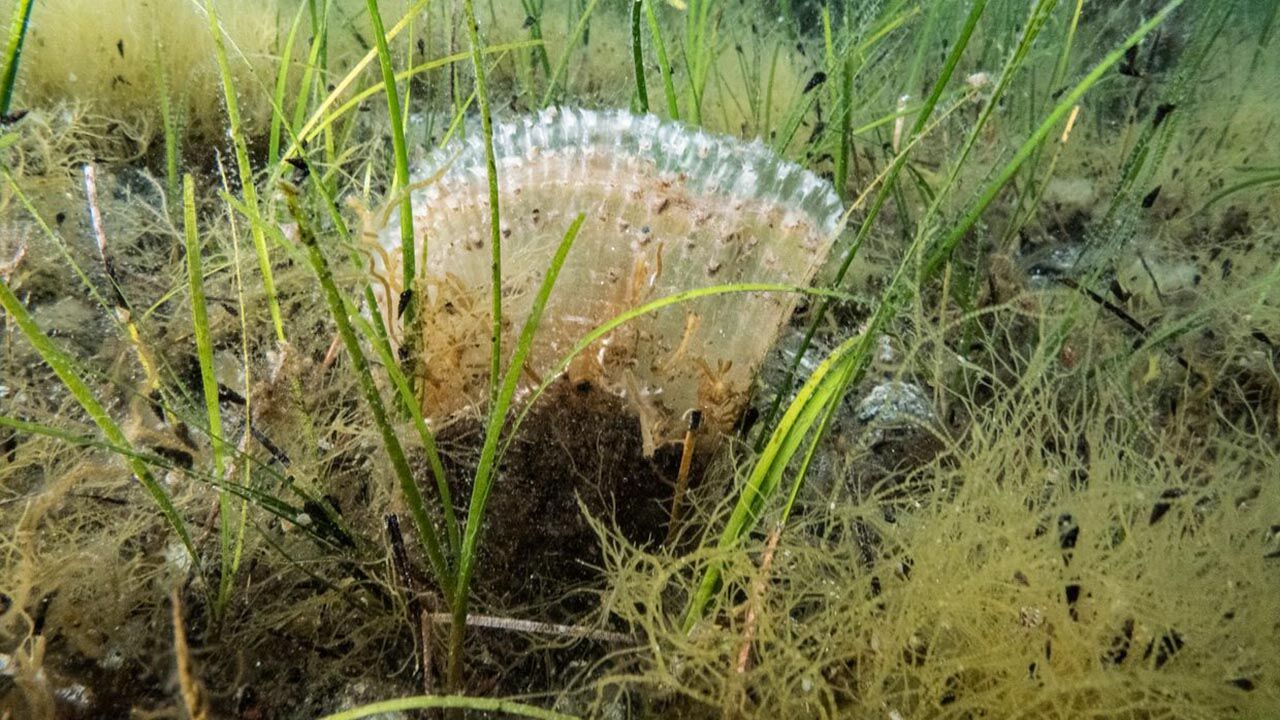 Yalova Il Tarim Orman Mudurluk Uzatma Ag Yakalama Denetim (3)