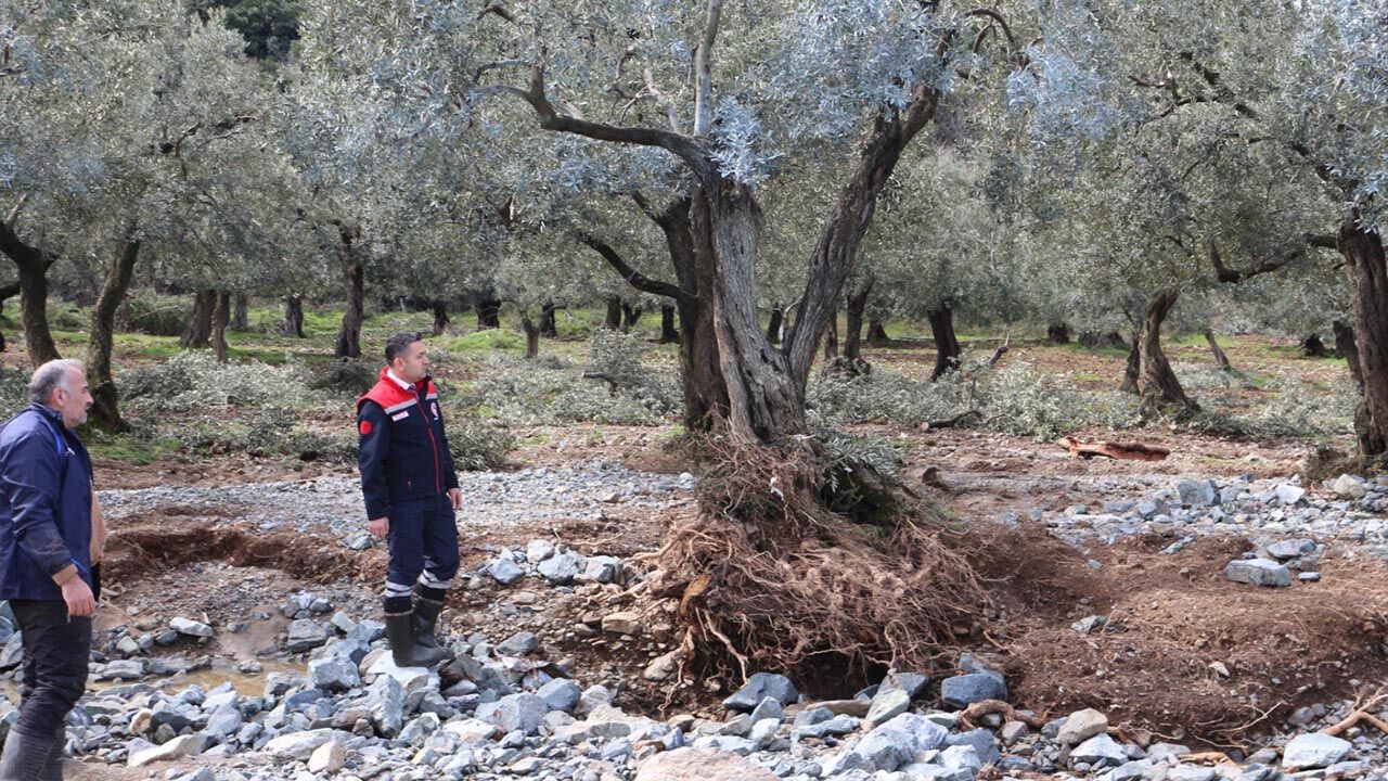 Yalova Kocadere Senkoy Esenkoy Sel Taskin Felaket Inceleme (2)