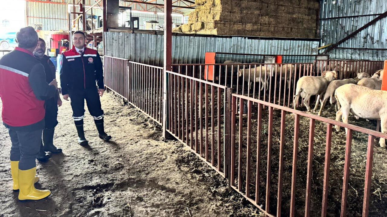 Aşı Çalışmaları Tam Gaz Devam Ediyor (3)