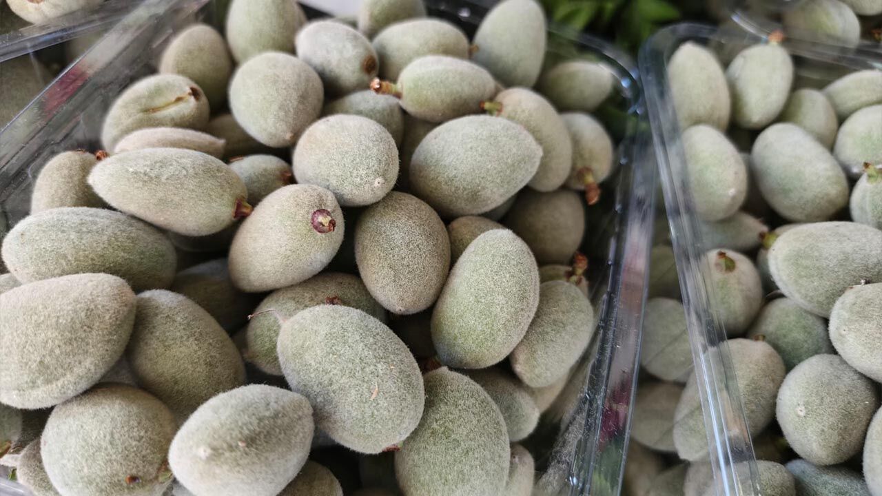 Tadımlığı 150 Lira Yalova’da Yaz Meyveleri El Yakıyor (2)