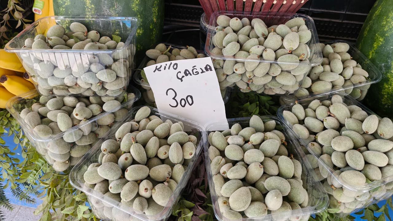 Tadımlığı 150 Lira Yalova’da Yaz Meyveleri El Yakıyor (3)