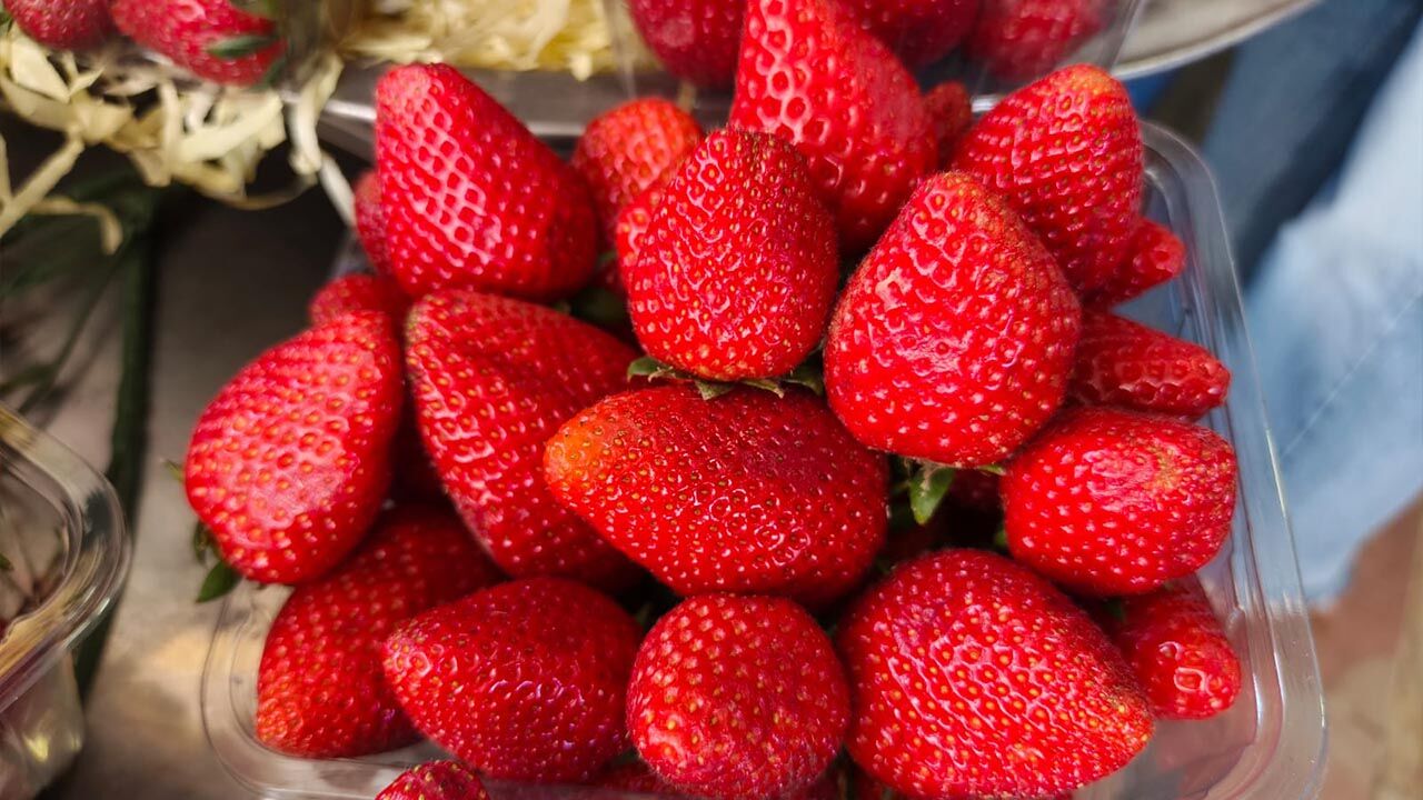 Tadımlığı 150 Lira Yalova’da Yaz Meyveleri El Yakıyor (4)