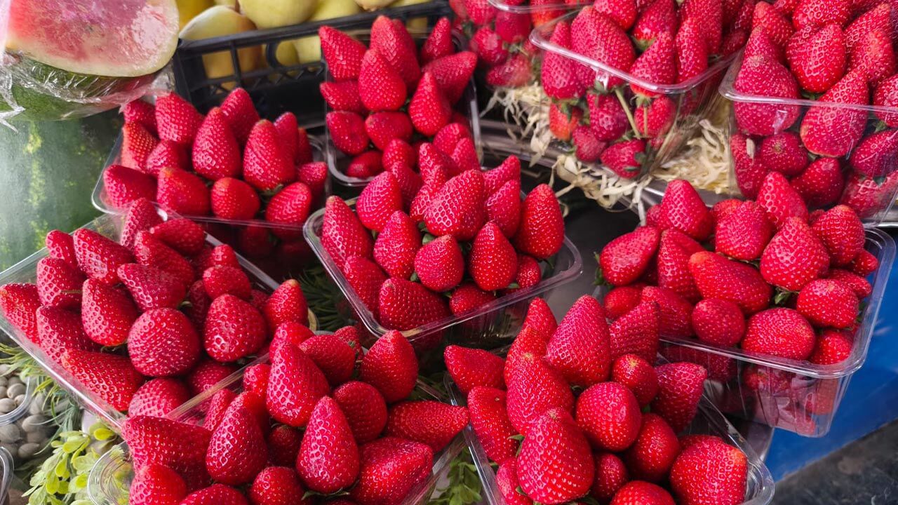 Tadımlığı 150 Lira Yalova’da Yaz Meyveleri El Yakıyor (5)