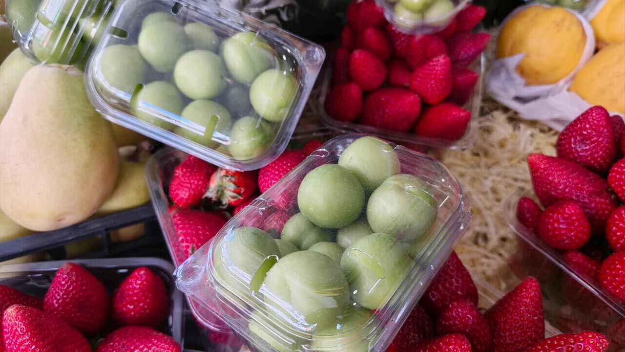 Tadımlığı 150 Lira Yalova’da Yaz Meyveleri El Yakıyor (6)