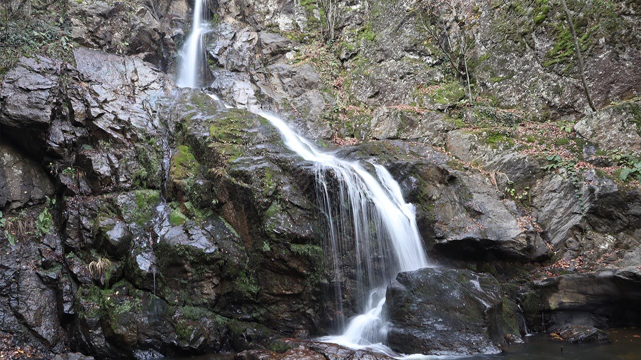 Marmara’nın İncisi Yalova’da Bahar Temizliği Doğanın Kalbine Yolculuk (3)