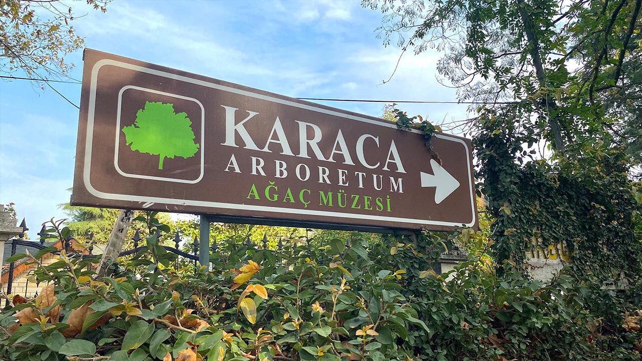 Marmara’nın İncisi Yalova’da Bahar Temizliği Doğanın Kalbine Yolculuk (4)