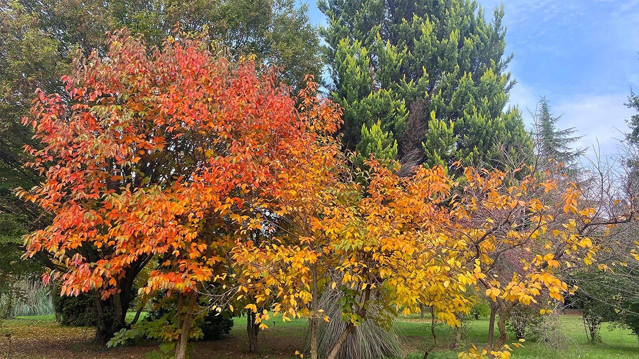 Marmara’nın İncisi Yalova’da Bahar Temizliği Doğanın Kalbine Yolculuk (6)