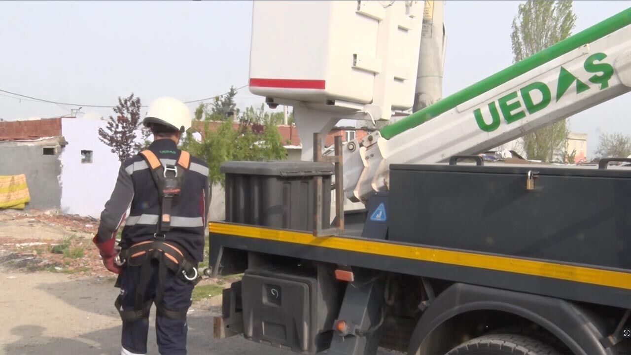 Sokak Lambaları Kuşlara Yuva Oldu (2)