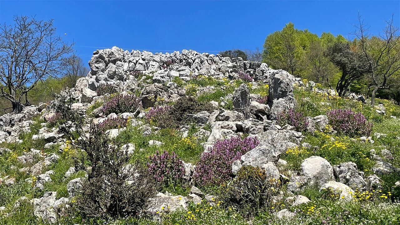 Yalova Dogada Bir Gun Ekip Bursa Orhangazi Hamzali Koy Yuruyus (5)