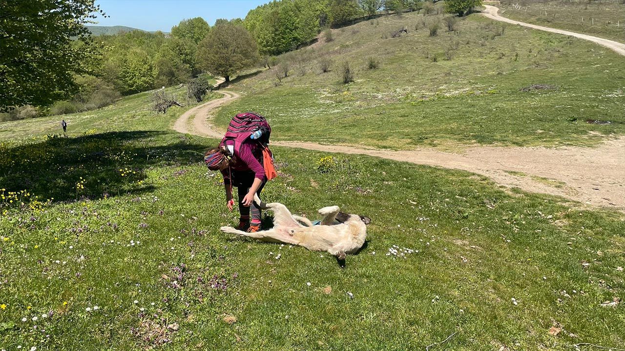 Yalova Dogada Bir Gun Ekip Bursa Orhangazi Hamzali Koy Yuruyus (6)