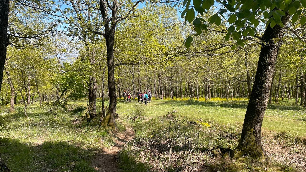 Yalova Dogada Bir Gun Ekip Bursa Orhangazi Hamzali Koy Yuruyus (8)