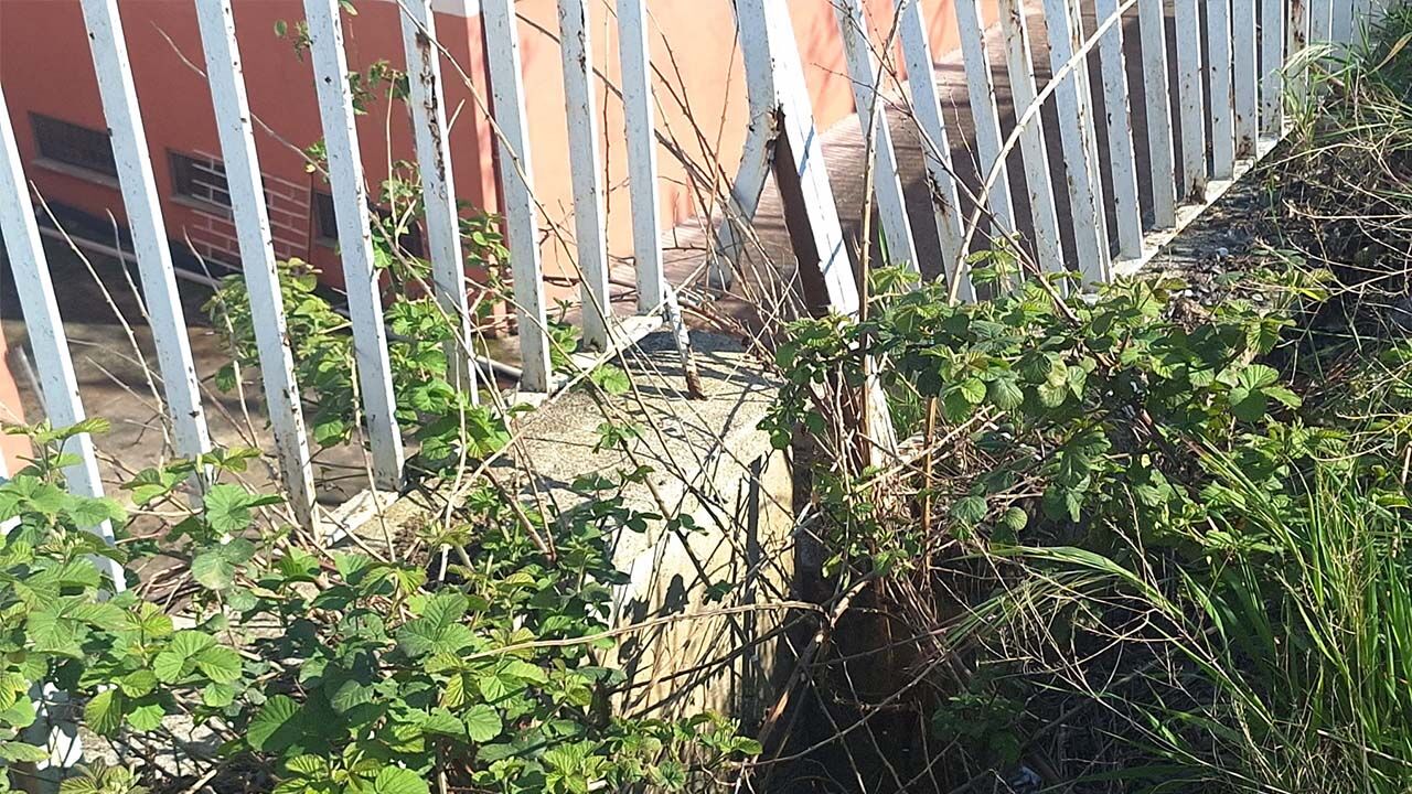 Yalova Adnan Menderes Mahalle Halil Inalcik Lise Sehit Ayhan Saybo Cadde Yol Istinat Duvar Yikilma Cokme Tehlike (2)