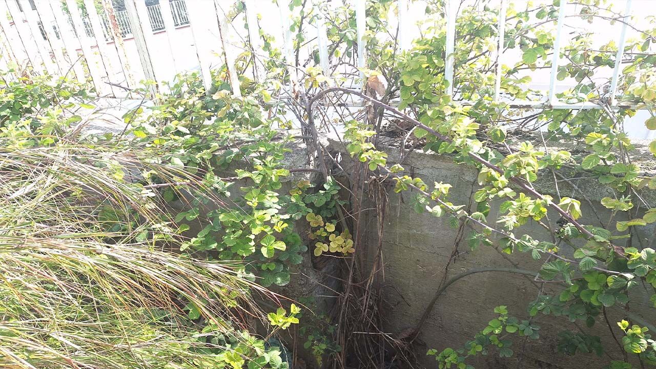 Yalova Adnan Menderes Mahalle Halil Inalcik Lise Sehit Ayhan Saybo Cadde Yol Istinat Duvar Yikilma Cokme Tehlike (3)